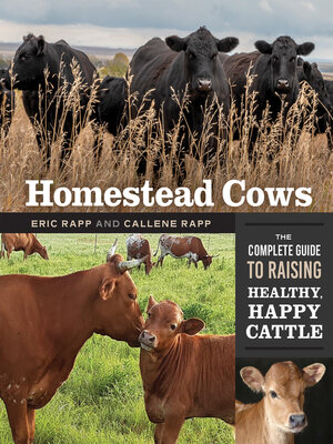 cover image of Homestead Cows